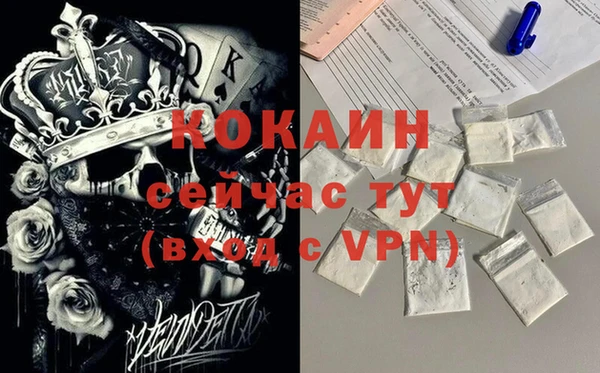 шишки Семёнов